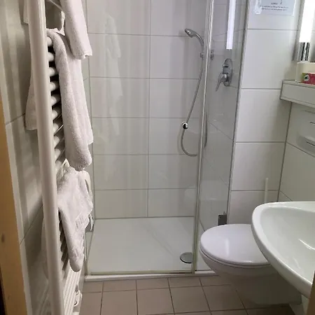 Battenheimer Hof فندق