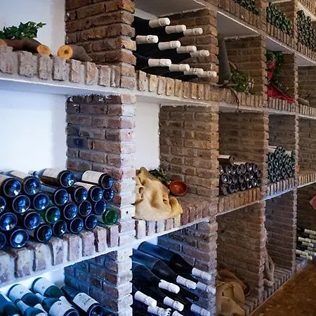 فندق Battenheimer Hof بودينهايم