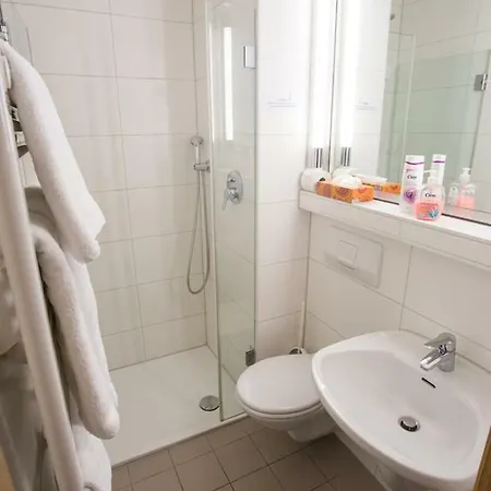 Battenheimer Hof 3* 博登海姆