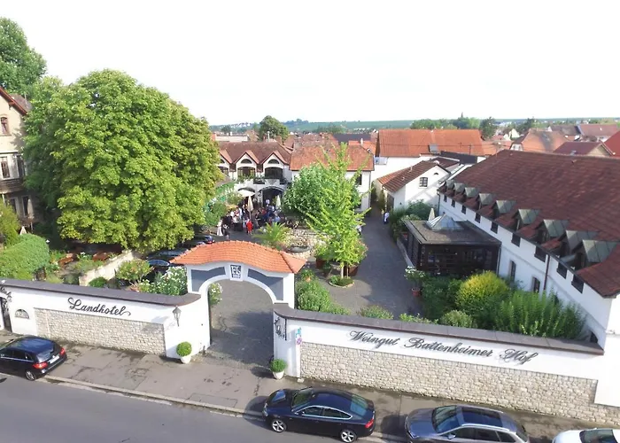 Battenheimer Hof Hotel 3*